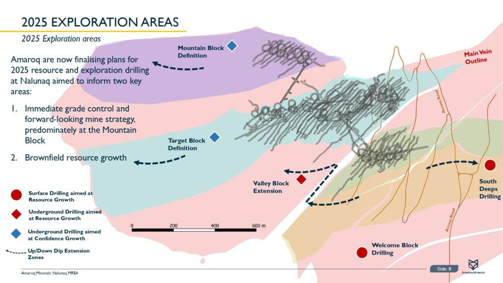 Nalunaq Mineral Resource Estimate Update (mre4) Page 0009